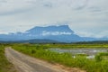 Beautiful green paddy view with Majestic Mount Kinabalu