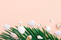 Beautiful green palm leaf white sea shells on pastel pink wall background. Elegant summer tropical nautical creative concept