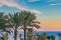 Beautiful green palm trees against the sunset sky with light clouds and blue sea. Tropical idilic evening scene