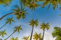 Amazing tropical beach scene and palm trees and blue sky for tropical beach background Royalty Free Stock Photo