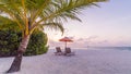 Amazing tropical beach scene and palm trees and blue sky for tropical beach background Royalty Free Stock Photo