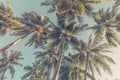 Amazing tropical beach scene and palm trees and blue sky for tropical beach background Royalty Free Stock Photo