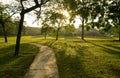 Beautiful green park with jogging track. Sun rays and flares