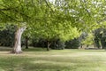 Beautiful green park at Umpherston Sinkhole, Mount Gambier, South Australia