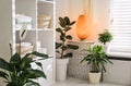 Beautiful green plants in elegant bathroom. Interior design Royalty Free Stock Photo