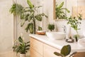 Beautiful green plants in elegant bathroom. Interior design Royalty Free Stock Photo