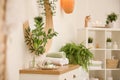 Beautiful green plants in elegant bathroom. Interior design Royalty Free Stock Photo