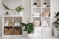 Beautiful green plants in elegant bathroom. Interior design Royalty Free Stock Photo