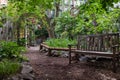 Beautiful Plants and Flowers at the Peaceful Creative Little Garden in the East Village of New York City with a Bench