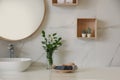 Beautiful green plants near vessel sink on countertop in bathroom Royalty Free Stock Photo