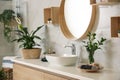 Beautiful green plants near vessel sink on countertop Royalty Free Stock Photo