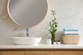 Beautiful green plants near vessel sink on countertop in bathroom. Interior elements Royalty Free Stock Photo