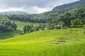 Beautiful green rice terraces and old houses in mountain hug Royalty Free Stock Photo