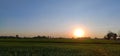 Beautiful green rice fields and sunset sky background in countryside landscape of Thailand. Slow life concept. Royalty Free Stock Photo