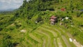 Beautiful green rice fields, villas and houses roofs, palms and road top view aerial landscape from the drone, Ubud, Bali, Royalty Free Stock Photo