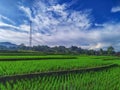 Beautiful Green Rice Terraces and Paddy Fields with a Telecommunication Tower Under a Bright Blue Sky with Wispy Clouds. Royalty Free Stock Photo