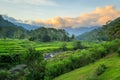 Beautiful green rice terraces at sunset Royalty Free Stock Photo