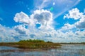 Beautiful green scenery reflecting in the lake in Everglades national park, Miami, Florida