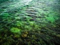 Beautiful Green Sea surface on the ocean Royalty Free Stock Photo