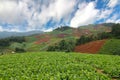 The beautiful Green season in chiangmai thailand