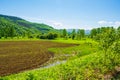 Beautiful green spring field rural scene panorama Bulgaria Royalty Free Stock Photo