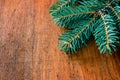 Beautiful green spruce branch on wooden background