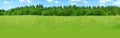 Beautiful green summer landscape with green meadow grass, wildflowers, shrubs, trees, natural nature concept, ecology, Royalty Free Stock Photo