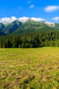 Beautiful green summer landscape of Tatra Mountains in Zdiar village, Slovakia Royalty Free Stock Photo