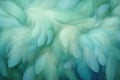 Beautiful green and teal blue feathers background. Closeup colorful fluffy feather. Royalty Free Stock Photo