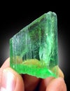 Beautiful Green Terminated Hiddenite Var Spodumene kunzite crystal from Afghanistan Royalty Free Stock Photo