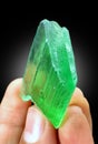 Beautiful Green Terminated Hiddenite Var Spodumene kunzite crystal from Afghanistan Royalty Free Stock Photo