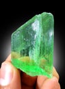 Beautiful Green Terminated Hiddenite Var Spodumene kunzite crystal from Afghanistan Royalty Free Stock Photo