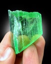 Beautiful Green Terminated Hiddenite Var Spodumene kunzite crystal from Afghanistan Royalty Free Stock Photo