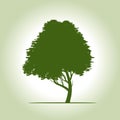 Beautiful Green Tree with Leaves. Vector Illustration.