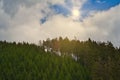 Beautiful green trees of Thuringian Forest with cloudy sky and sunrays Royalty Free Stock Photo