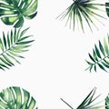 Beautiful green tropical cute lovely wonderful hawaii floral herbal summer frame of a palms watercolor