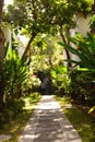 Beautiful green tropical garden outdoor veranda with ecological plants surrounded nature in Asia Royalty Free Stock Photo