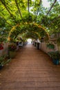 Beautiful green tunnel full of plants flowers and lights as entrance to the beach Royalty Free Stock Photo