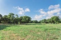 Beautiful green urban park grassy lawn in Irving, Texas, USA