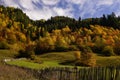 Beautiful green valley, hills with colorful autumn forest, wooden fency. Background of bright blue sky with clouds Royalty Free Stock Photo