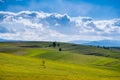 Beautiful green valley at springtime, gathering stormclouds , agricultural fields in Transylvania Royalty Free Stock Photo