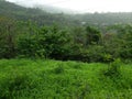 Beautiful and green view. Geen and pollution free environment