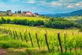 Beautiful green vineyard landscape and house on the hill, Italy Royalty Free Stock Photo