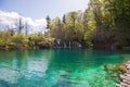 Beautiful green water of Plitvicka lake Royalty Free Stock Photo