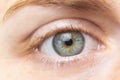 Beautiful green woman eye close up. Macro. Royalty Free Stock Photo