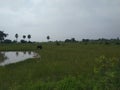 Beautiful greenery place in the cloudy season