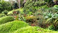 Beautiful Greenish Garden View