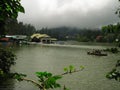 Beautiful Greenish Landscape View Of Kodaikanal River