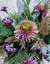 Beautiful greenish pink chrysanthemum and purple carnations in a winter bouquet.