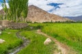 Beautiful greeny season in Leh city, Ladakh, India Royalty Free Stock Photo